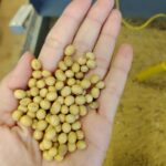 IMG_20210506_145807946