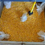 IMG_20211020_084423921_HDR