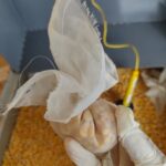 IMG_20211020_084438272_HDR