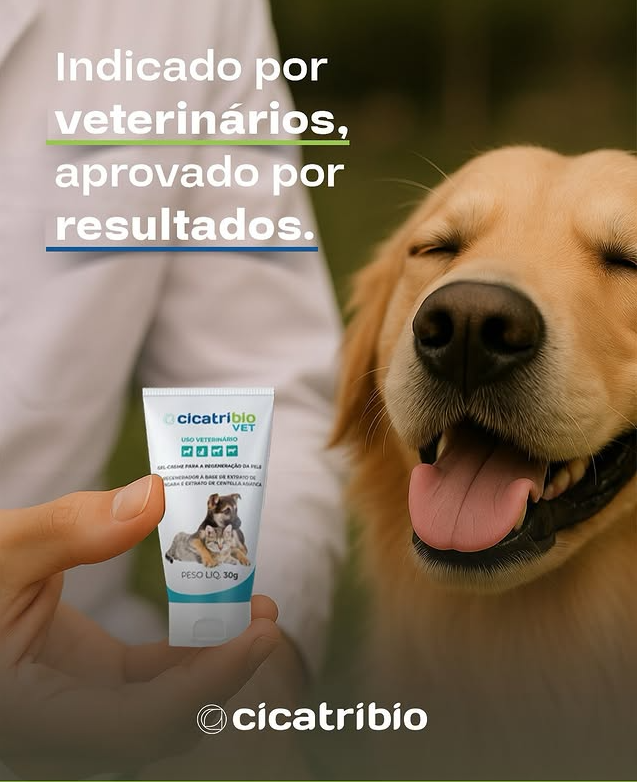 Captura de tela 2025-05-28 113718