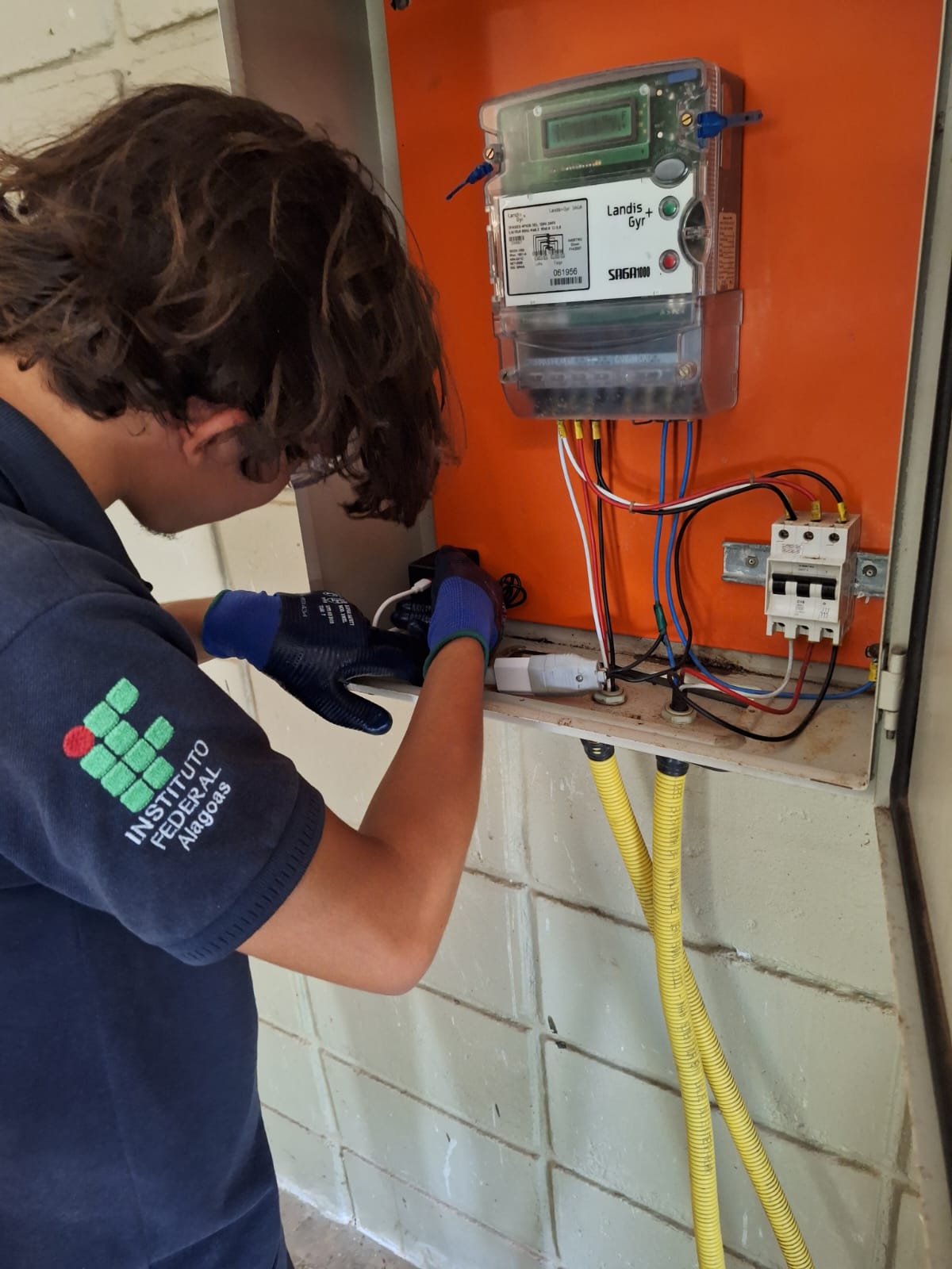 WhatsApp Image 2024-10-15 at 11.11.39