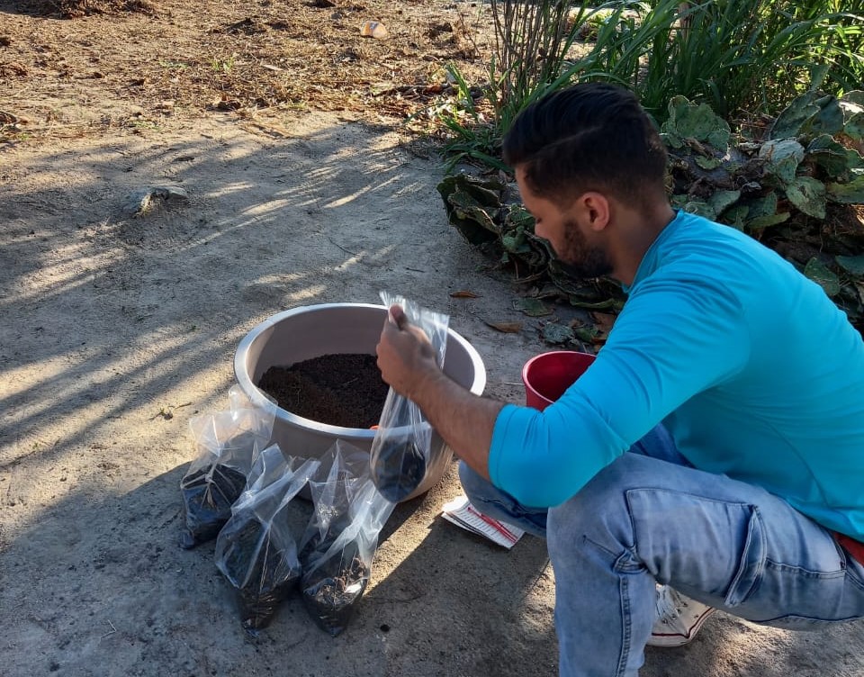 Análises e Cuidados com o Solo - Pré-implementação